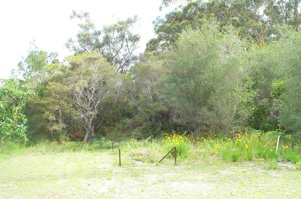 Stuarts Point Picture 3