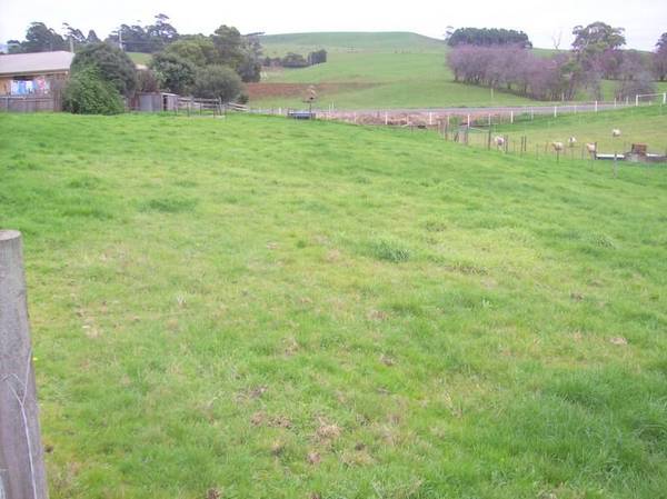 Market Gardeners Delight
$310 000 Picture