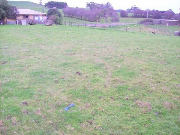 Market Gardeners Delight
$310 000 Picture