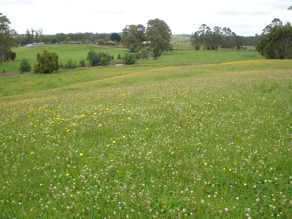 19 Acres and 2 River Frontages Picture 3