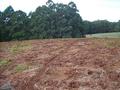 29 Acres of Land, Bush and Water Picture