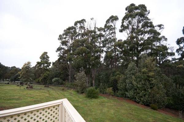 SECLUDED IN NATURAL BUSH SETTING Picture