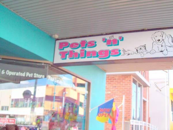 ARE YOU AN ANIMAL LOVER? Picture 1