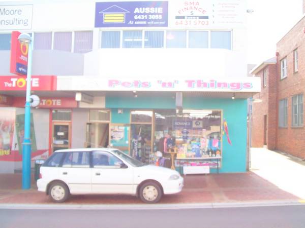 ARE YOU AN ANIMAL LOVER? Picture 2