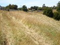 HOUSE AND 11 ACRES OF RESIDENTIAL LAND IN BURNIE Picture