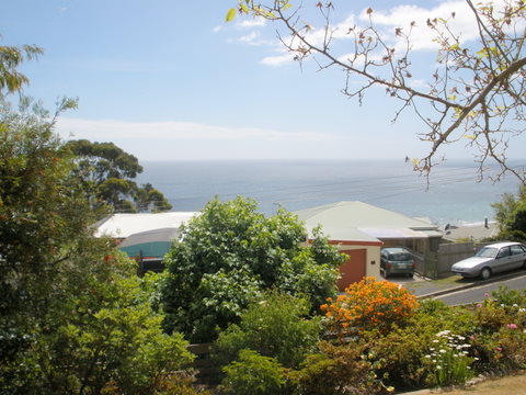 OCEAN VIEWS Picture OCEAN VIEWS Picture