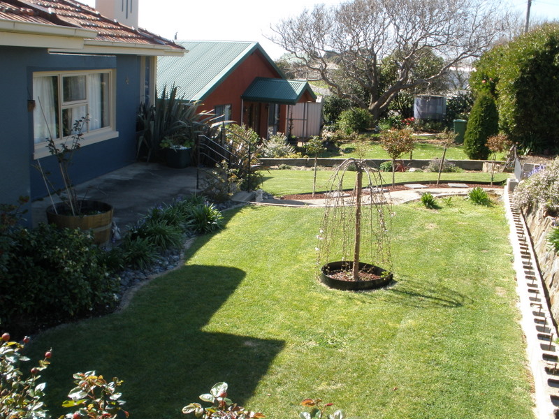 WITHIN THE GOLDEN MILE Picture 2