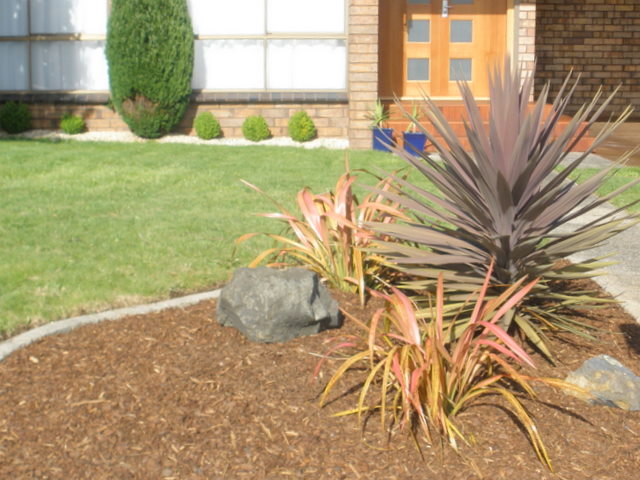 A FAMILY FAVOURITE Picture 2