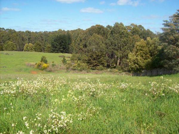 Fabulous Rural Views Picture 3