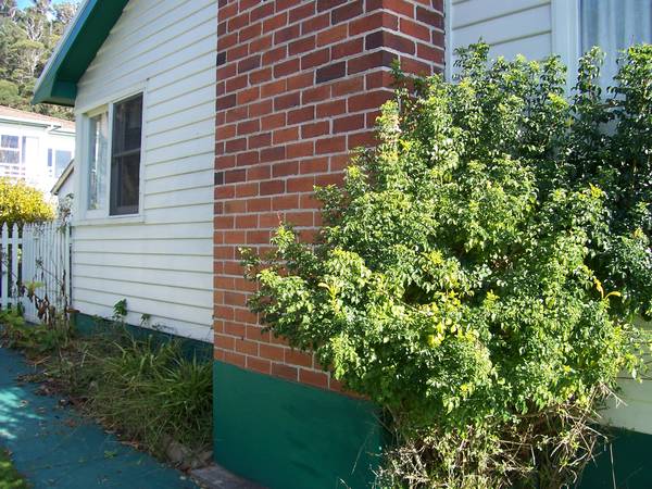 Enjoy the Sea Views - Rent
Reduction Picture 2