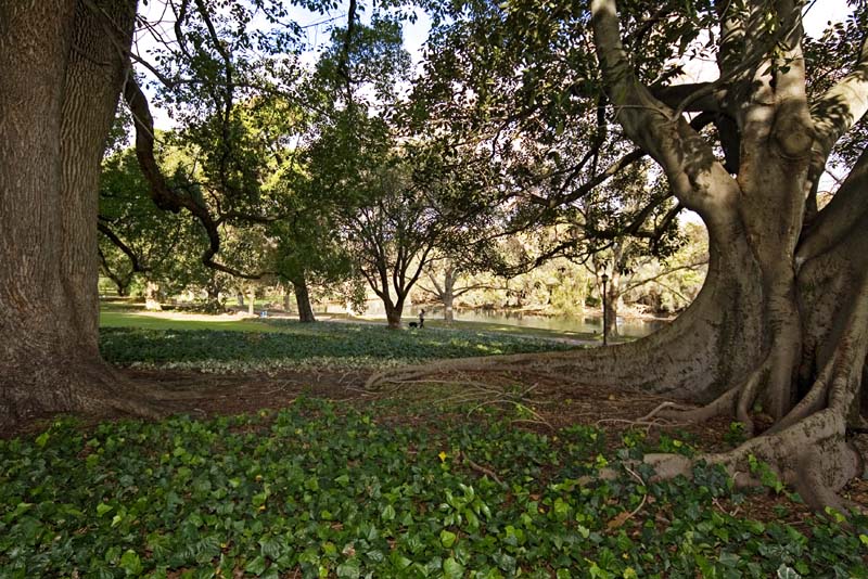 GREAT CITY LOCATION!!! Picture 1