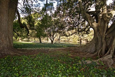 GREAT CITY LOCATION!!! Picture