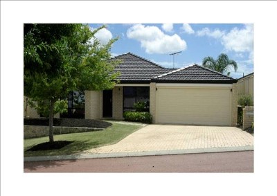 ENTERTAINER'S DELIGHT! Picture