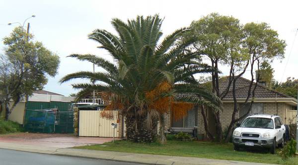 BARGAIN OF THE CENTURY!! Picture 1