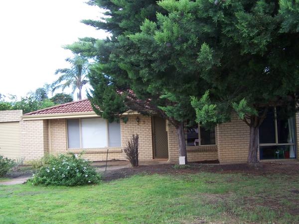 NEAT & TIDY HOUSE Picture 1
