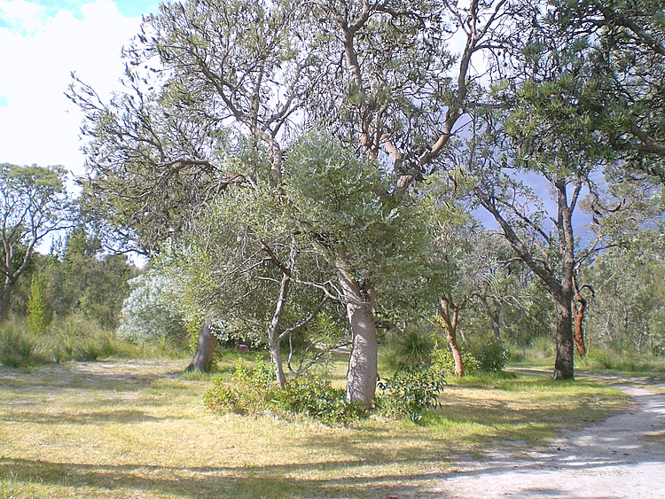 OPEN BY APPOINTMENT Picture 3