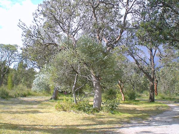 Part Subdividable Picture 3