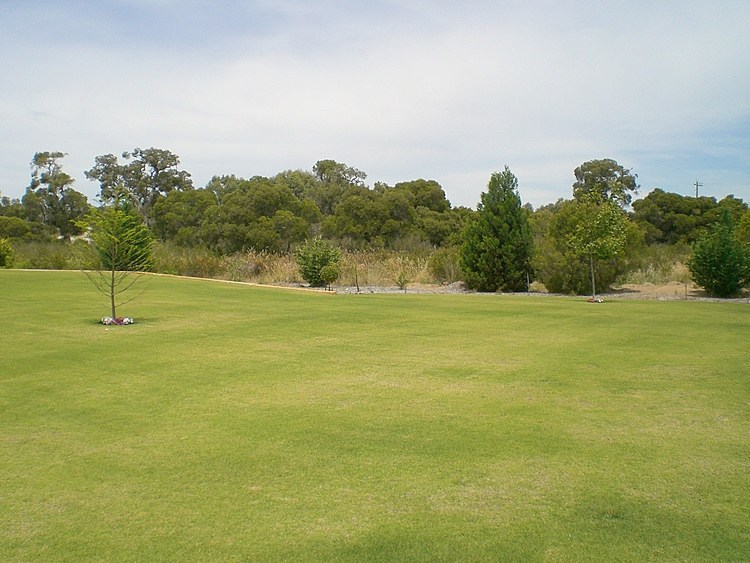 NEW PRICE!!! Picture 3