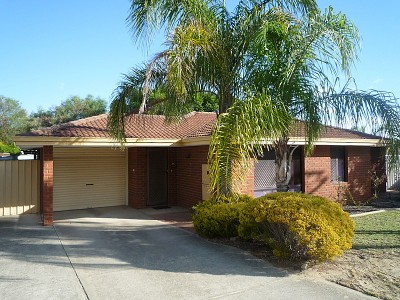 PICTURE PERFECT Picture PICTURE PERFECT Picture