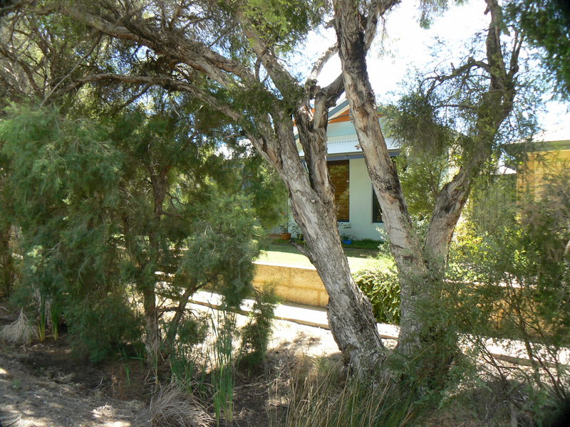 PRIVATE AND PEACEFUL Picture 2