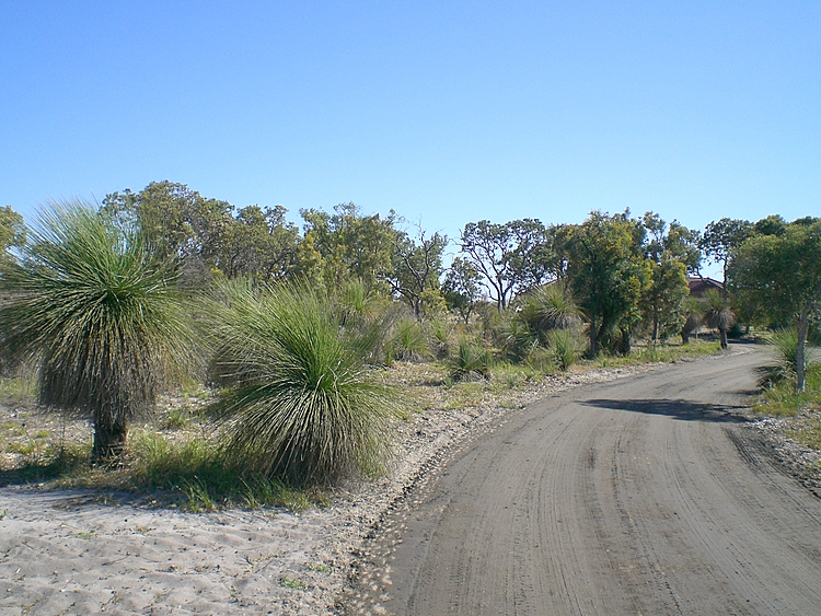 OPEN BY APPOINTMENT Picture 2