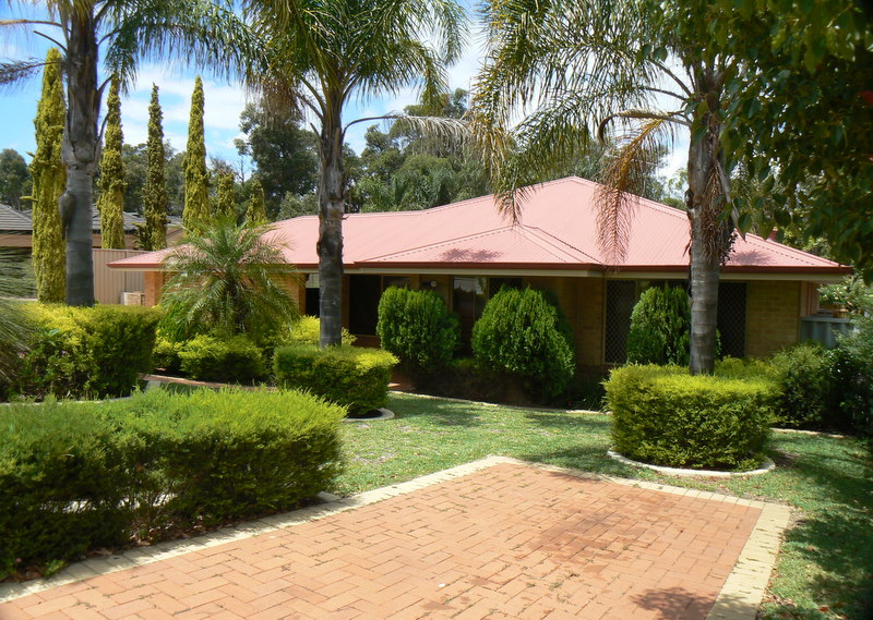 SOMETHING SPECIAL Picture 1