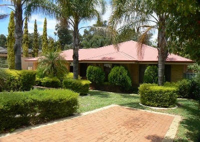 SOMETHING SPECIAL Picture