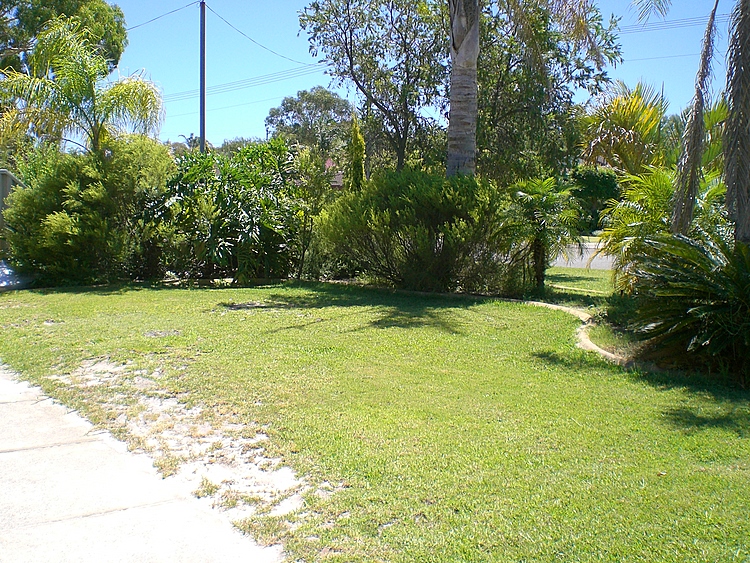 ROOM FOR WORKSHOP/POOL Picture 2