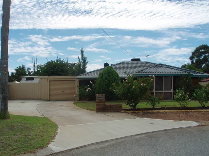 GREAT VALUE Picture 2