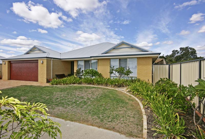 SUMMIT DELIGHT Picture 2