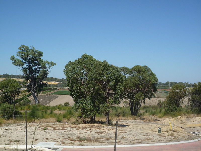 OCEAN VIEWS - HOUSE AND LAND FROM $360,000 Picture 3