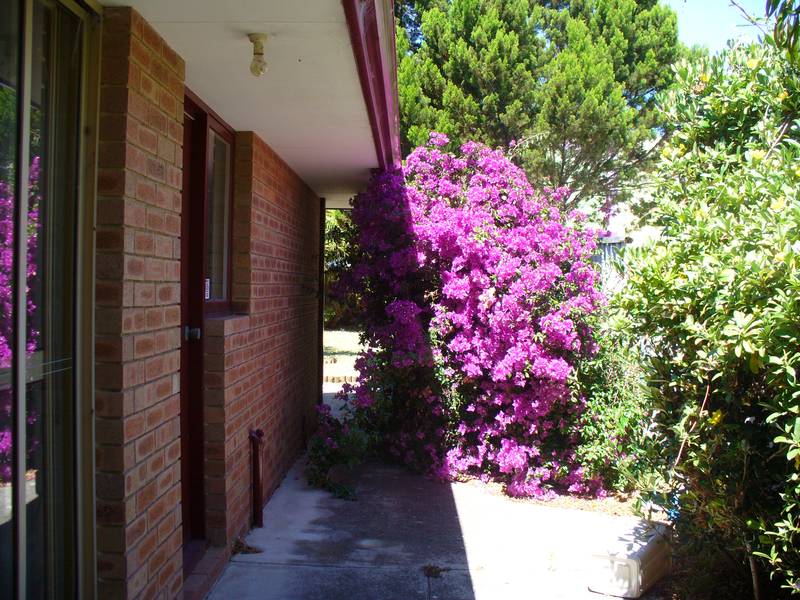 WALK TO THE SHOPS Picture 1