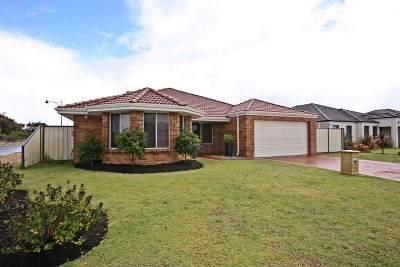 SUMMER SENSATION Picture SUMMER SENSATION Picture