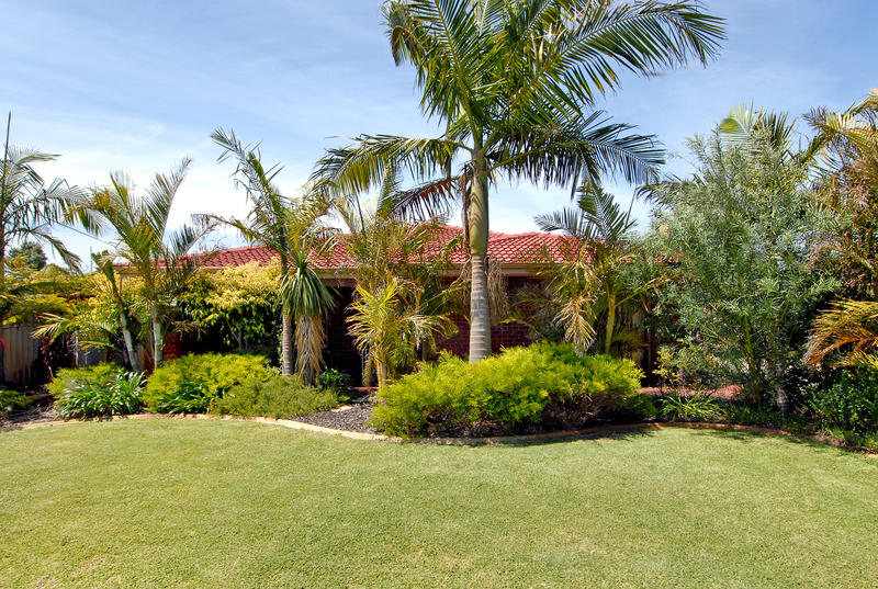 SENSATIONAL VALUE Picture 2