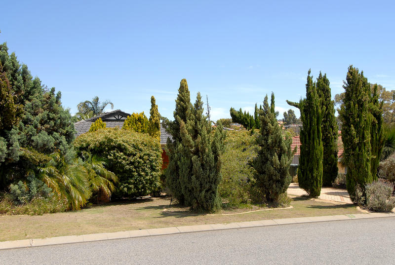 SURE TO IMPRESS Picture 2