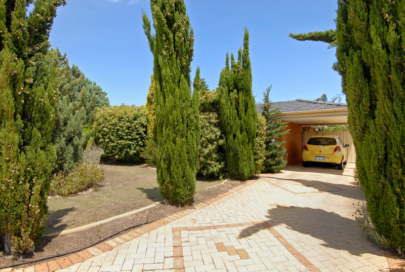 SURE TO IMPRESS Picture 1