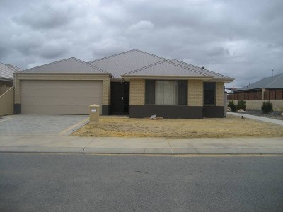 BRAND SPANKING NEW! Picture