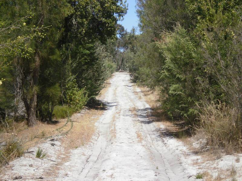 46.19 Acres - AUCTION 6TH FEBRUARY 2010 11AM Picture 2