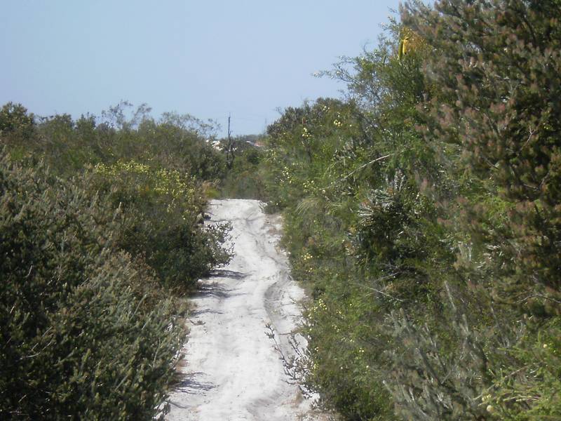 46.19 Acres - AUCTION 6TH FEBRUARY 2010 11AM Picture 3