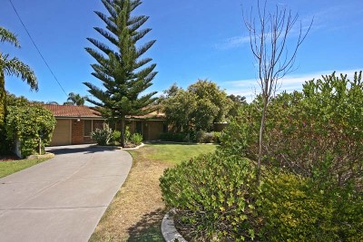 WHAT A BEAUTY! Picture