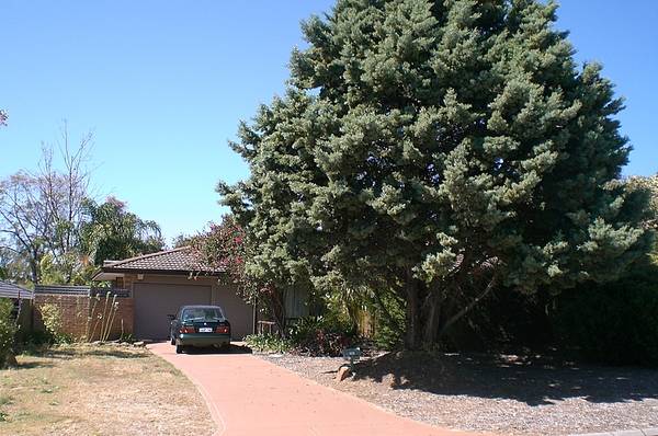 OWNER WANTS SOLD!!! Picture 1