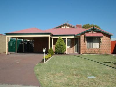 EASY CARE ELEGANCE Picture EASY CARE ELEGANCE Picture