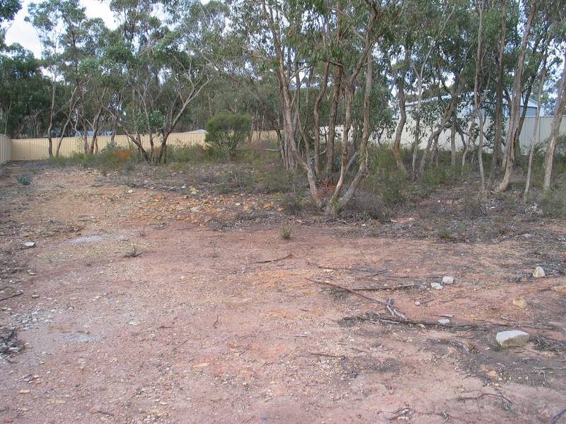 BUILD YOUR DREAM HOME Picture