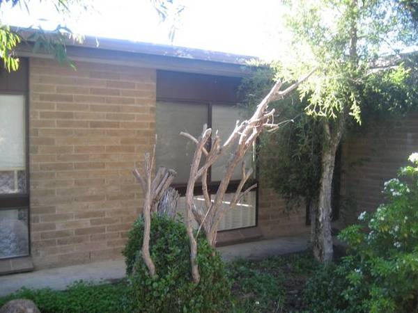 Great Two Bedroom Unit Picture 1