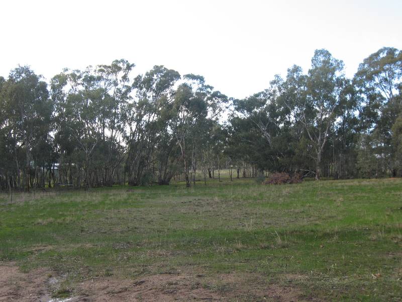 LIFESTYLE OPPORTUNITY Picture 1