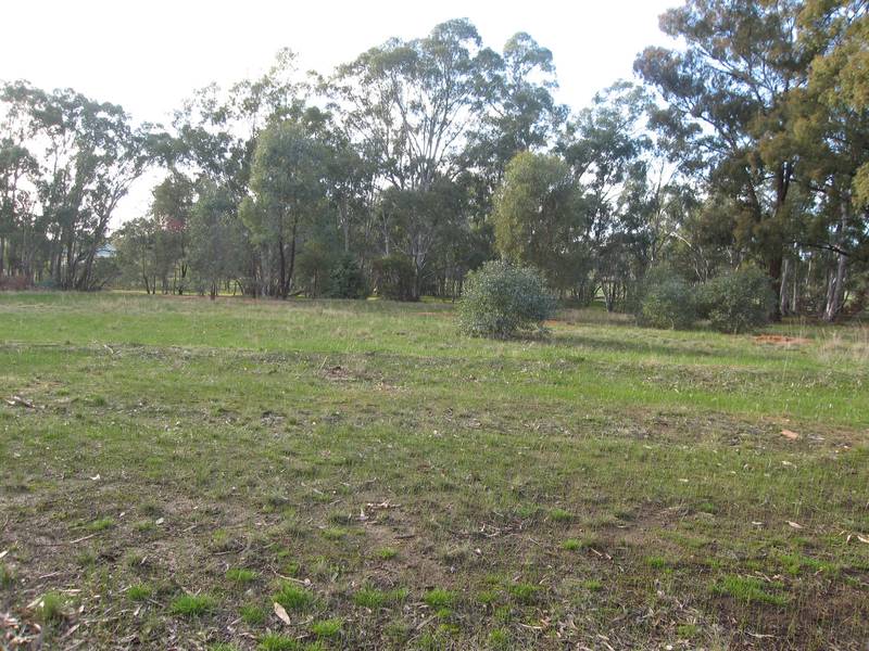 LIFESTYLE OPPORTUNITY Picture 2