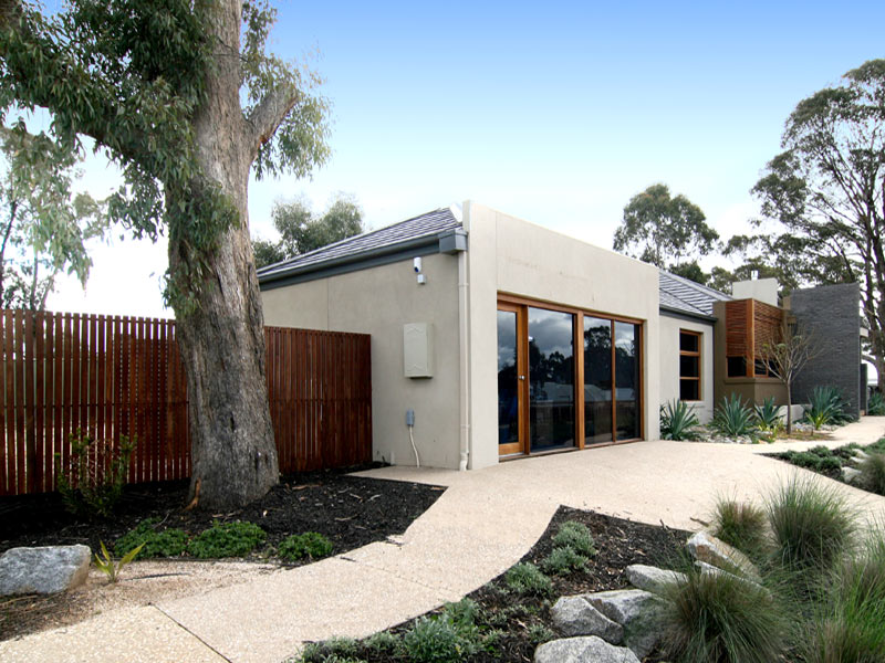 SHOW STOPPER Picture