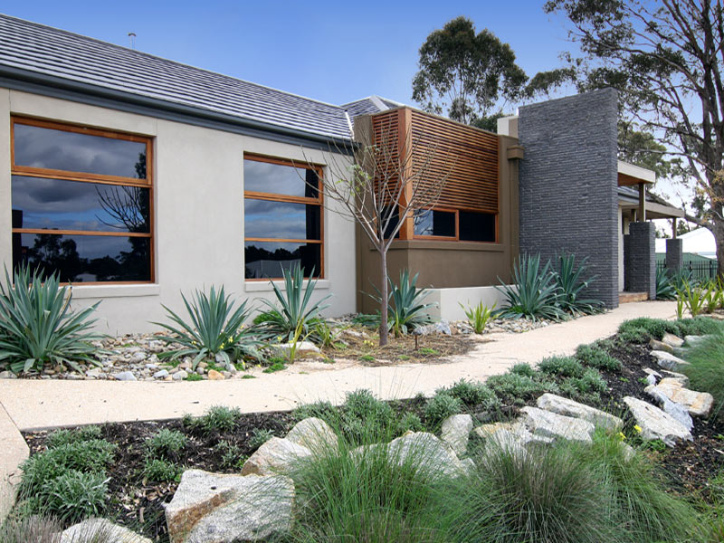 SHOW STOPPER Picture