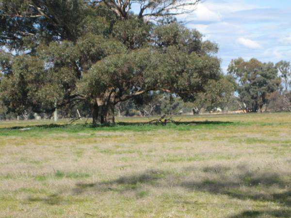 LAND IN BARNADOWN Picture 2