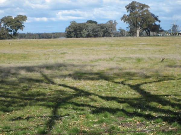 LAND IN BARNADOWN Picture 3